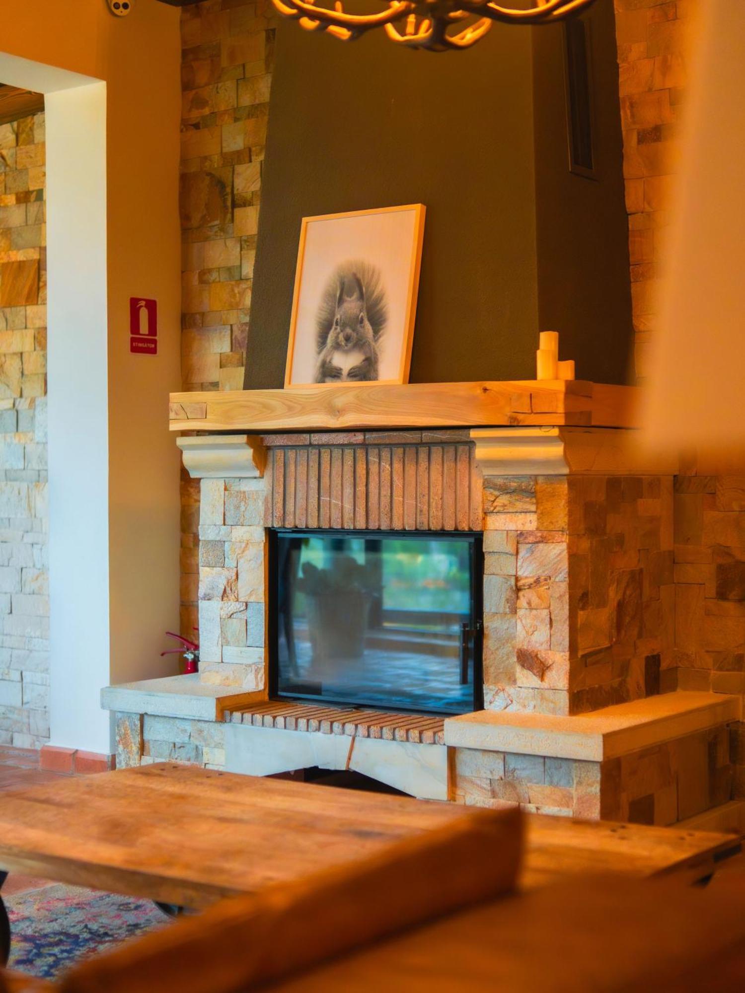 Kaban Boutique - 5Star Central Villa In Ватра-Дорней Екстер'єр фото